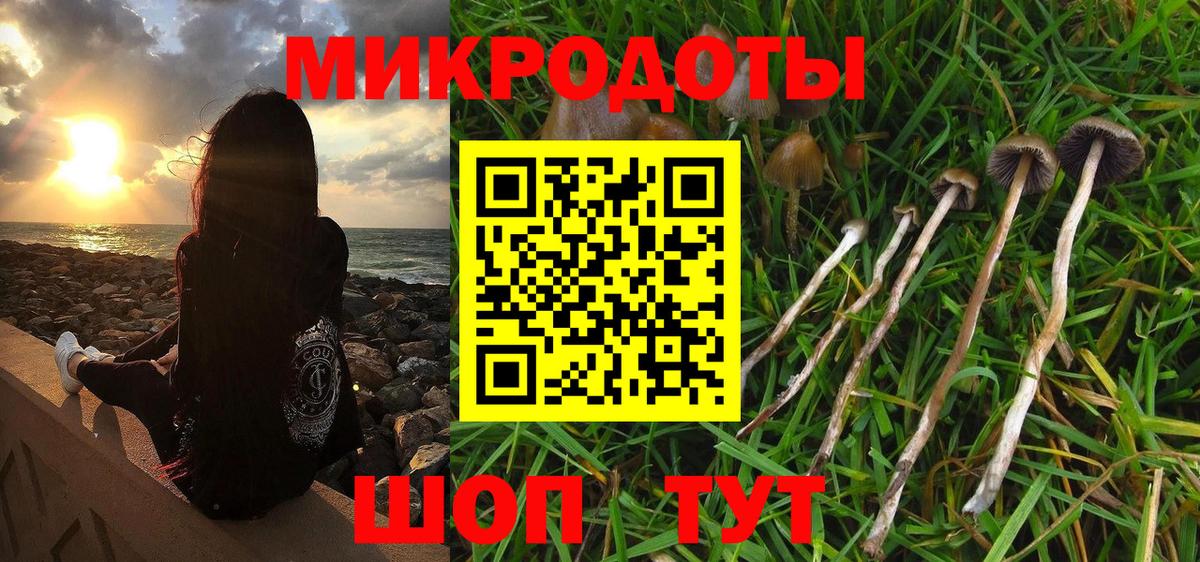 Владимир  Галлюциногенные грибы мухоморы  Вход с VPN 